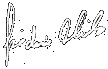 chiba_sign.gif